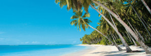 Caraibi_Wedding