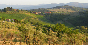 Firenze_Pitiana_0
