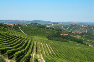 Monferrato_Lajone_0