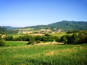 Rocca_0